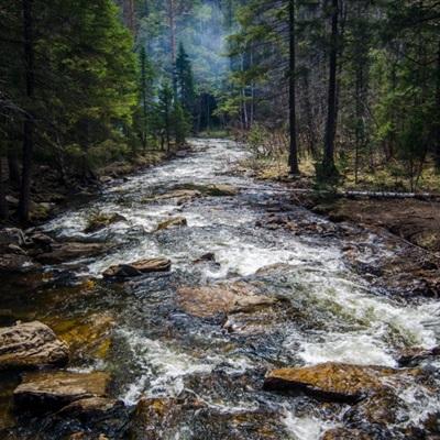 leyu乐鱼·体育app下载截图